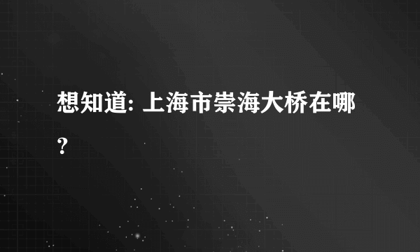 想知道: 上海市崇海大桥在哪？