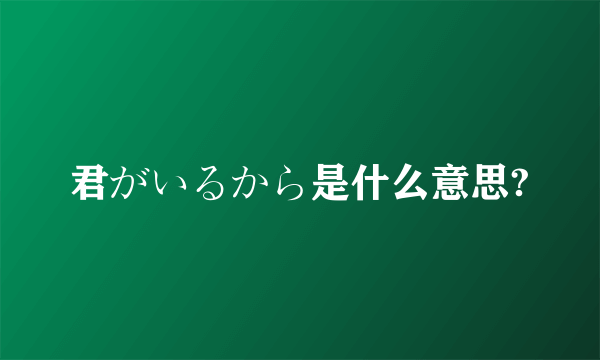 君がいるから是什么意思?