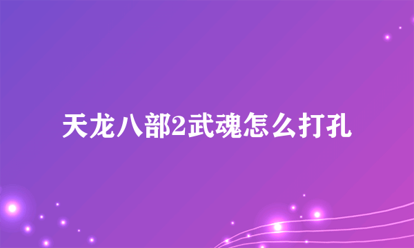 天龙八部2武魂怎么打孔