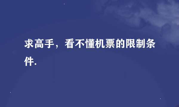 求高手，看不懂机票的限制条件.