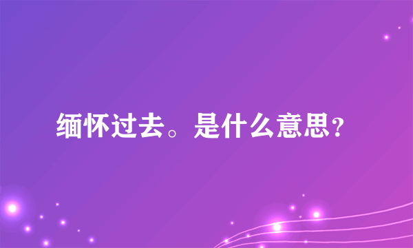 缅怀过去。是什么意思？