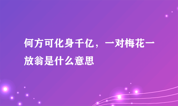 何方可化身千亿，一对梅花一放翁是什么意思