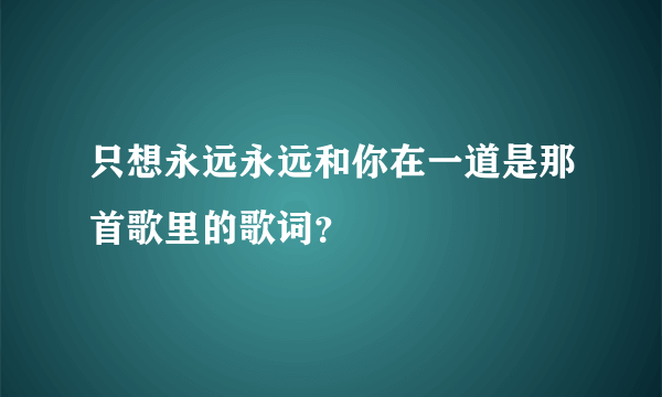 只想永远永远和你在一道是那首歌里的歌词？