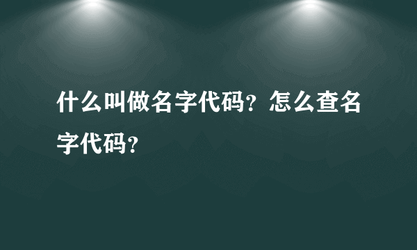 什么叫做名字代码？怎么查名字代码？