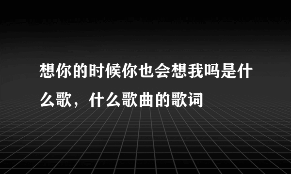 想你的时候你也会想我吗是什么歌，什么歌曲的歌词