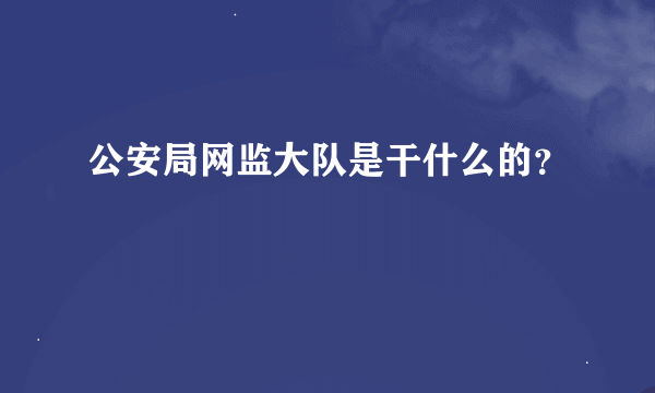 公安局网监大队是干什么的？