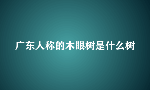 广东人称的木眼树是什么树