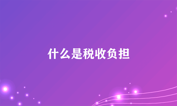 什么是税收负担