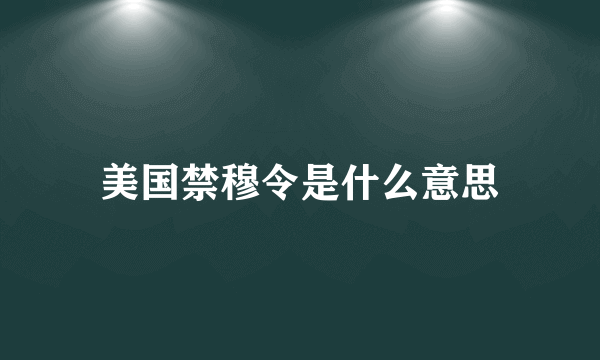 美国禁穆令是什么意思