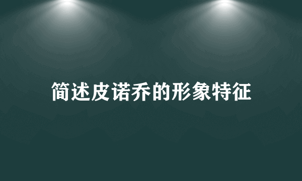 简述皮诺乔的形象特征