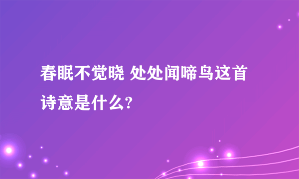 春眠不觉晓 处处闻啼鸟这首诗意是什么?