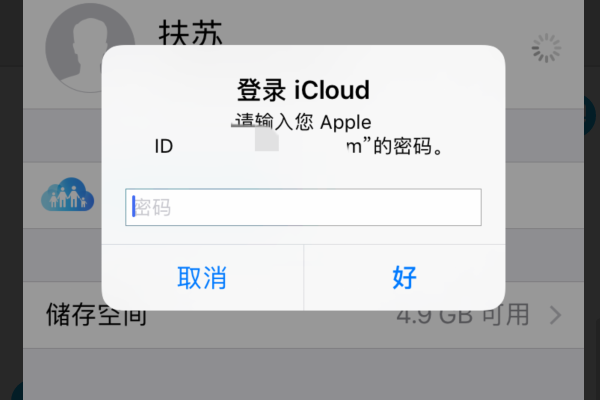 apple id密码是什么