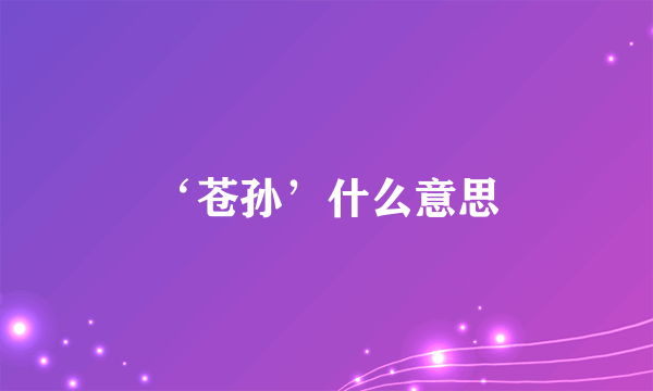 ‘苍孙’什么意思