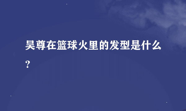 吴尊在篮球火里的发型是什么？