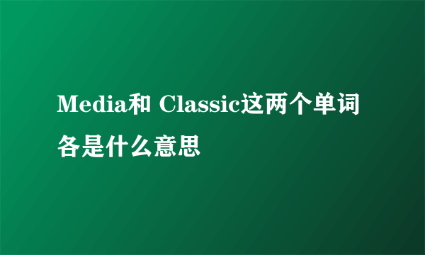 Media和 Classic这两个单词各是什么意思