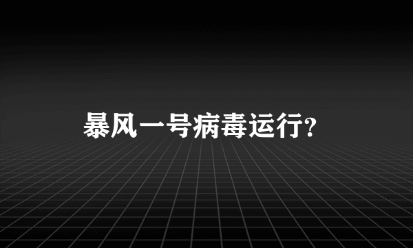 暴风一号病毒运行？