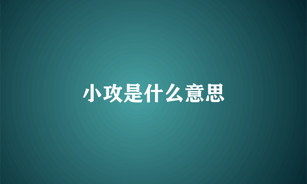 小攻是什么意思