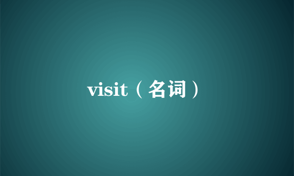 visit（名词）