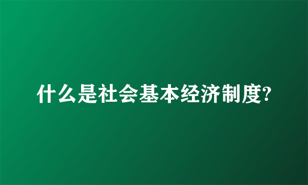 什么是社会基本经济制度?