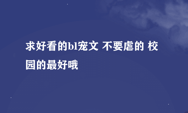 求好看的bl宠文 不要虐的 校园的最好哦