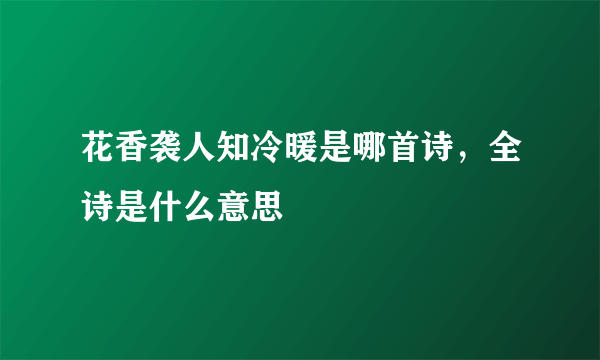 花香袭人知冷暖是哪首诗，全诗是什么意思