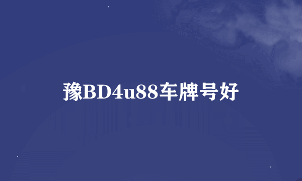 豫BD4u88车牌号好