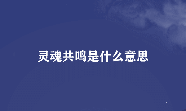 灵魂共鸣是什么意思