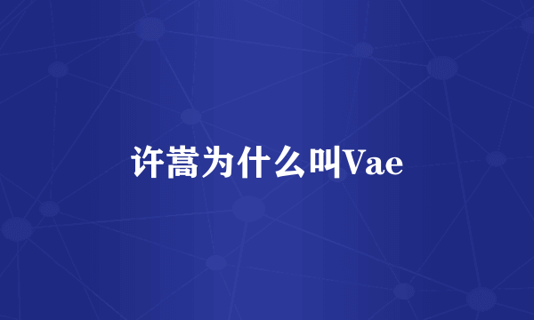 许嵩为什么叫Vae