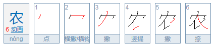 农字的笔顺怎么写