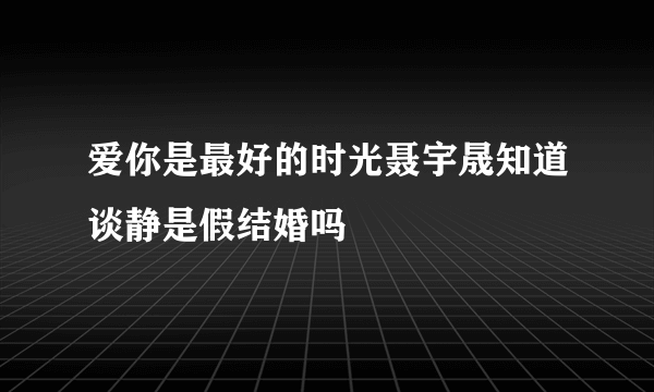 爱你是最好的时光聂宇晟知道谈静是假结婚吗