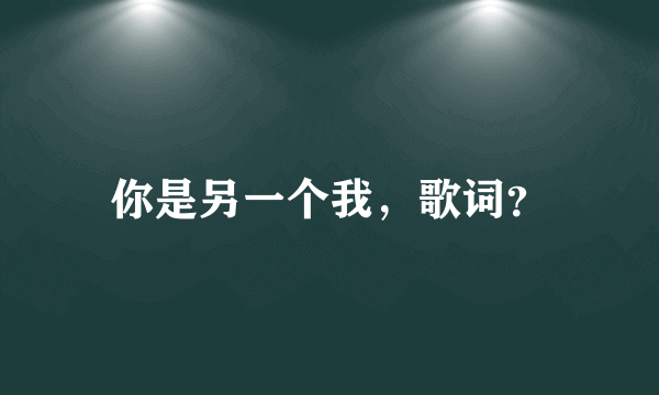 你是另一个我，歌词？