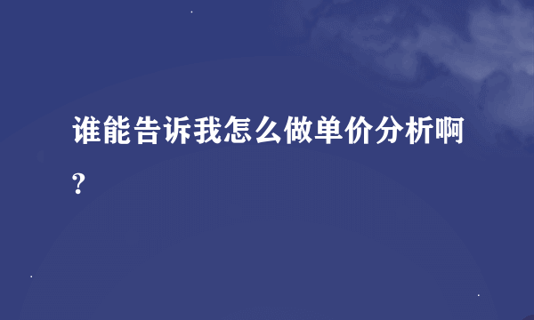 谁能告诉我怎么做单价分析啊?