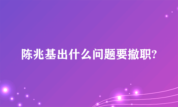 陈兆基出什么问题要撤职?