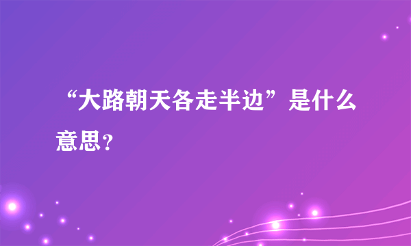 “大路朝天各走半边”是什么意思？