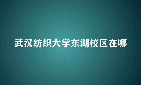 武汉纺织大学东湖校区在哪