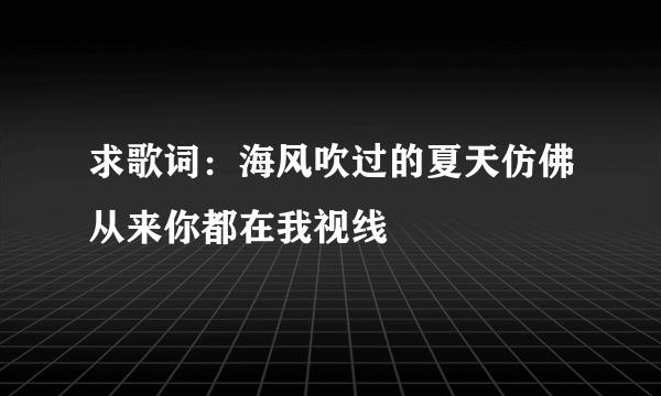 求歌词：海风吹过的夏天仿佛从来你都在我视线