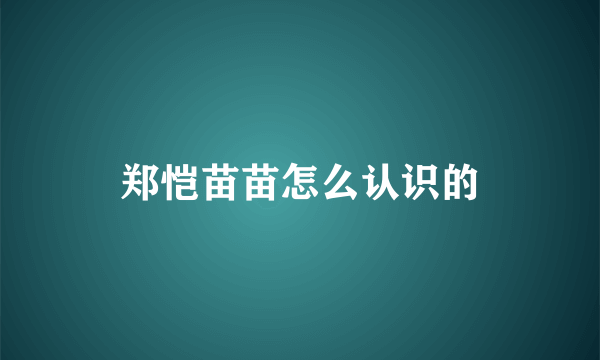 郑恺苗苗怎么认识的