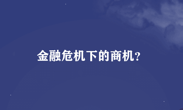 金融危机下的商机？