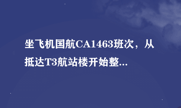 坐飞机国航CA1463班次，从抵达T3航站楼开始整个过程该怎么做？什么流程？该注意什么？