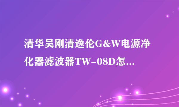 清华吴刚清逸伦G&W电源净化器滤波器TW-08D怎么样，好不好