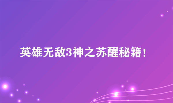 英雄无敌3神之苏醒秘籍！