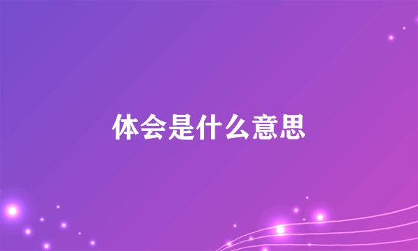 体会是什么意思