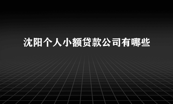 沈阳个人小额贷款公司有哪些