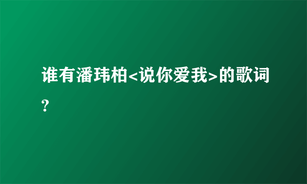 谁有潘玮柏<说你爱我>的歌词?