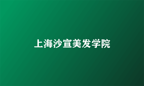 上海沙宣美发学院