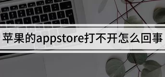 apple store打不开怎么回事？