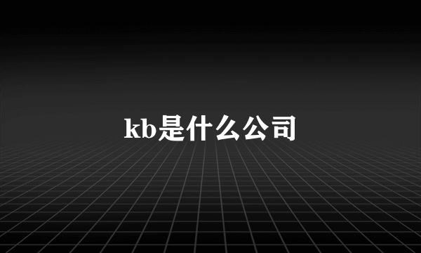 kb是什么公司