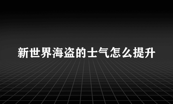 新世界海盗的士气怎么提升