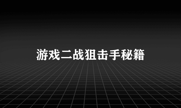 游戏二战狙击手秘籍