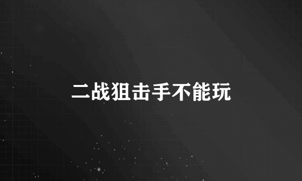 二战狙击手不能玩